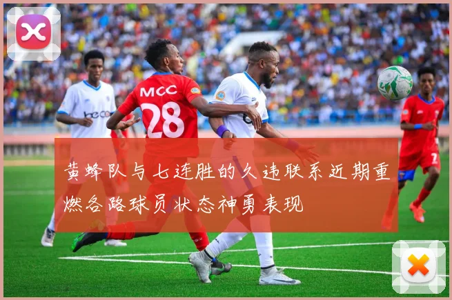 黄蜂队与七连胜的久违联系近期重燃各路球员状态神勇表现