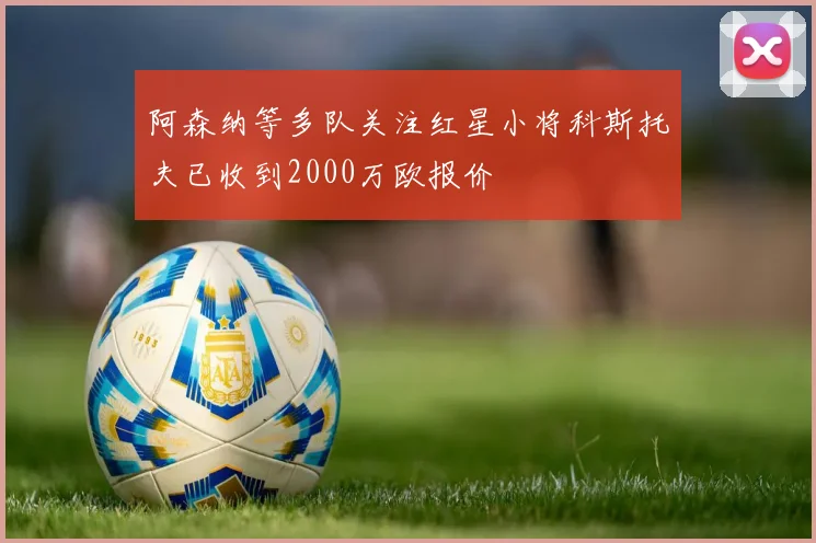 阿森纳等多队关注红星小将科斯托夫已收到2000万欧报价
